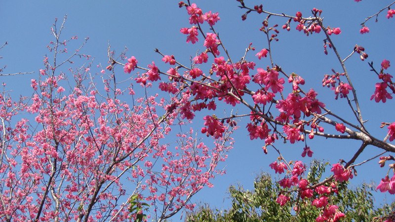 DSC08947_副本.jpg