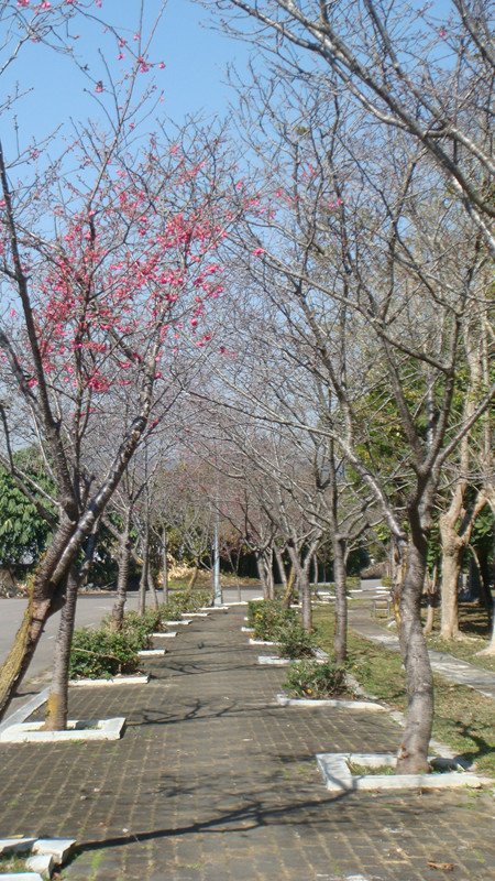 DSC08959_副本.jpg