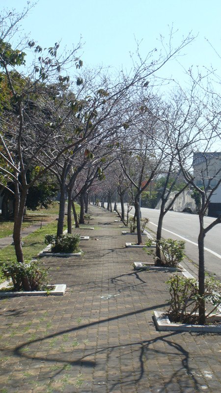 DSC08960_副本.jpg