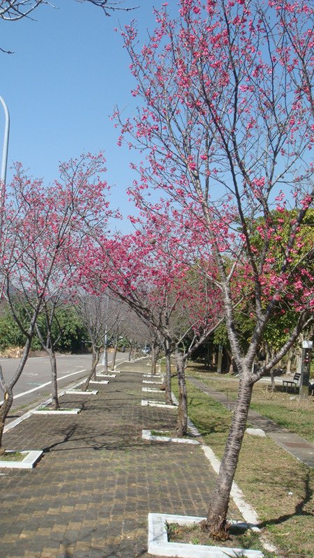 DSC08961_副本.jpg