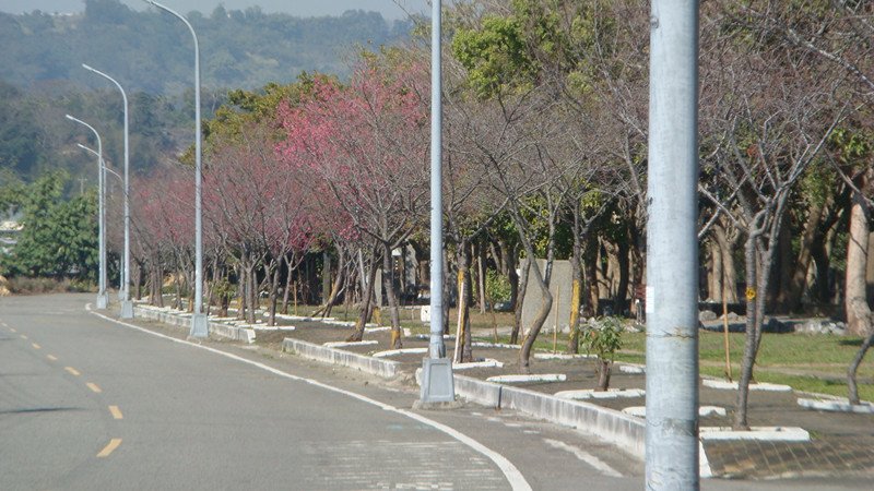 DSC08966_副本.jpg