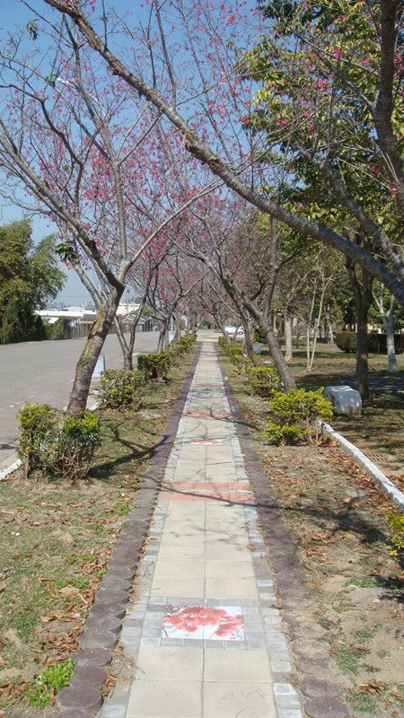 DSC08969_副本.jpg