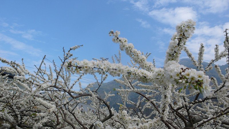 P1200463_副本.jpg