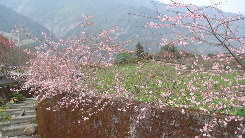 DSC08973_副本.jpg