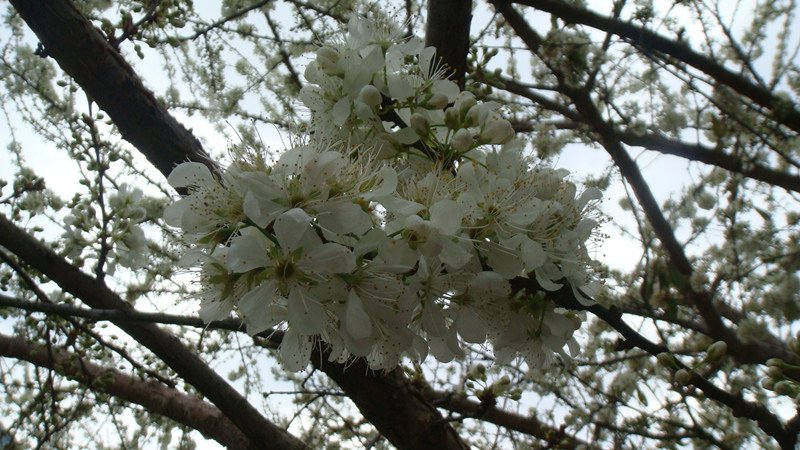 DSC08977_副本.jpg