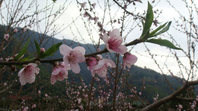DSC08980_副本.jpg