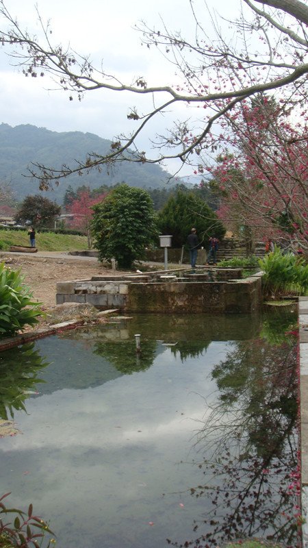 DSC08990_副本.jpg