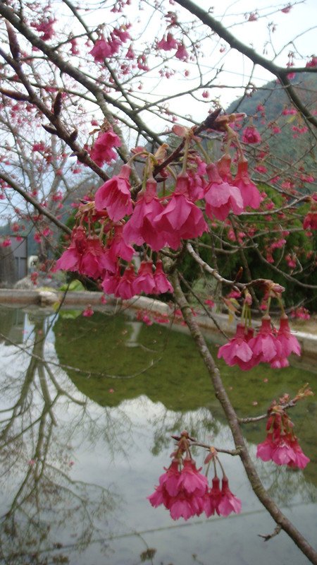 DSC08993_副本.jpg