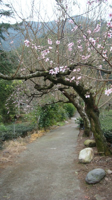 DSC08999_副本.jpg