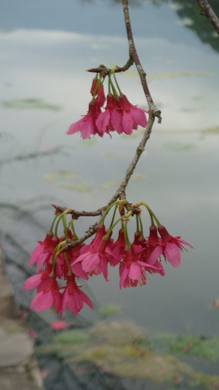 DSC09005_副本.jpg