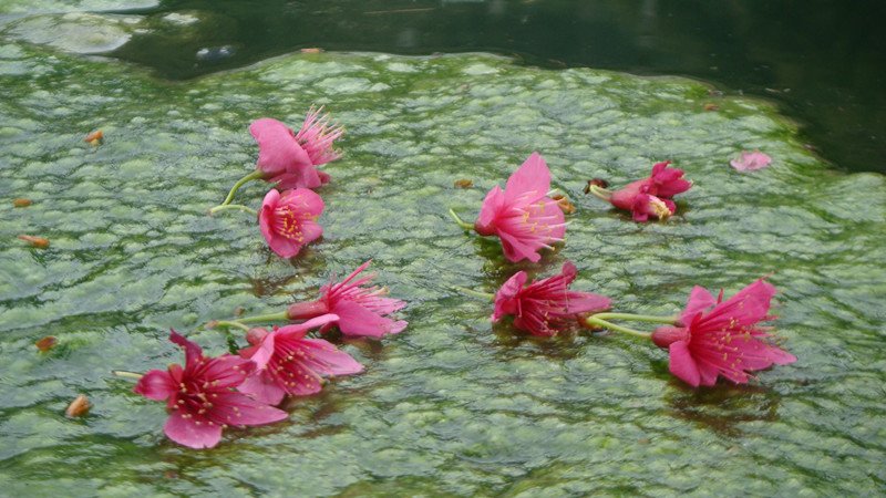 DSC09007_副本.jpg