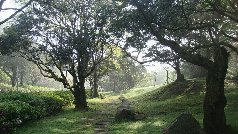 DSC09567_副本陽明山.jpg