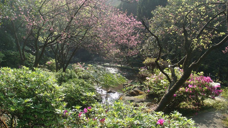 DSC09578_副本.jpg