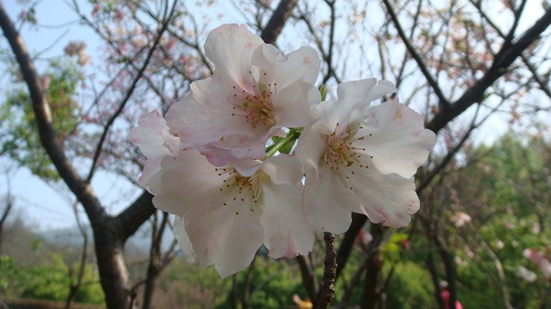 DSC09593_副本.jpg