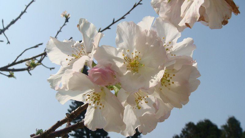 DSC09601_副本.jpg