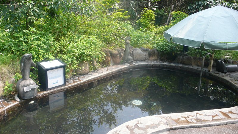 P1210788_副本薰衣草池.jpg