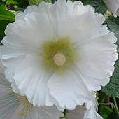 P1210983_副本.jpg