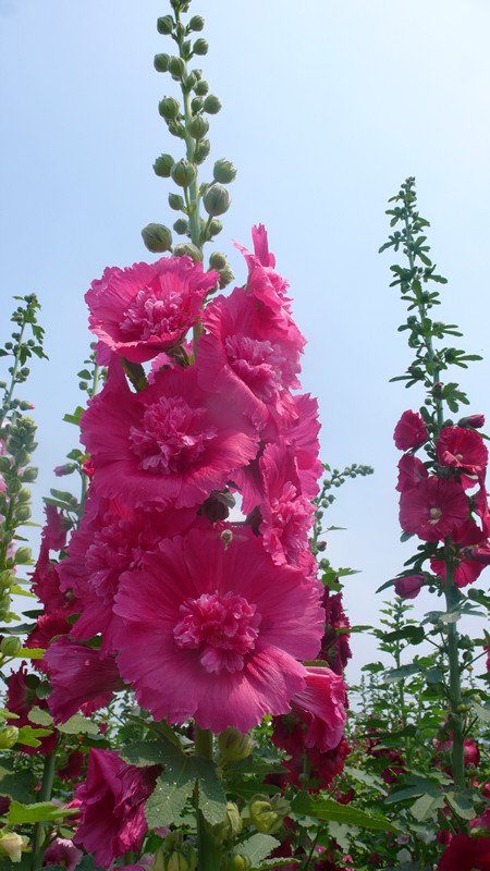 P1210984_副本.jpg