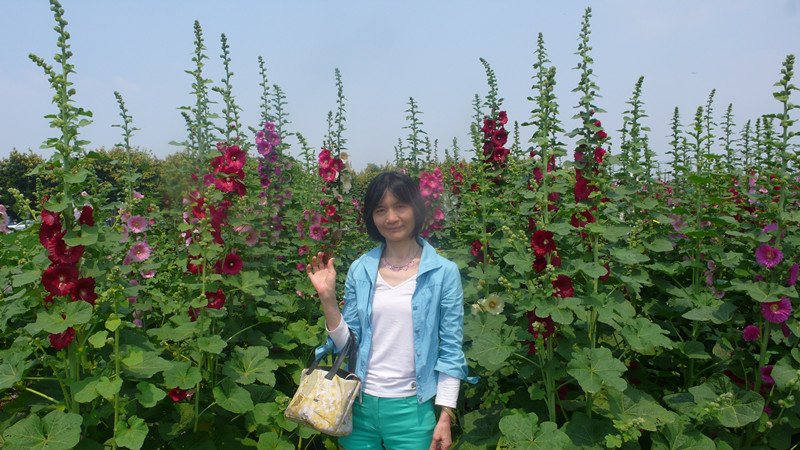 P1210996_副本.jpg