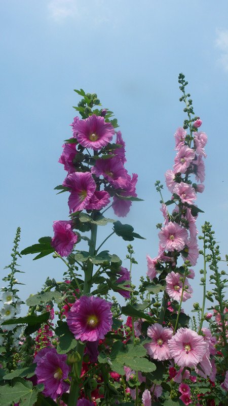 P1220007_副本.jpg
