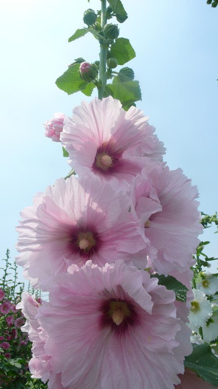 P1220014_副本.jpg