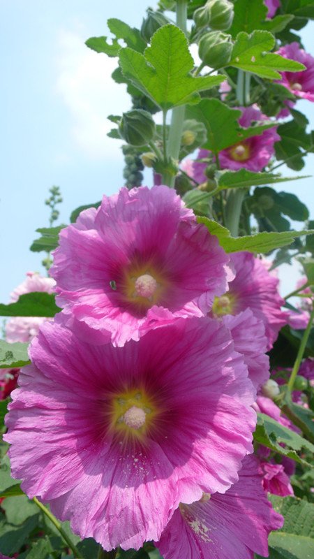 P1220017_副本.jpg