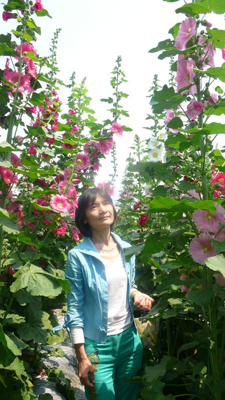 P1220022_副本.jpg