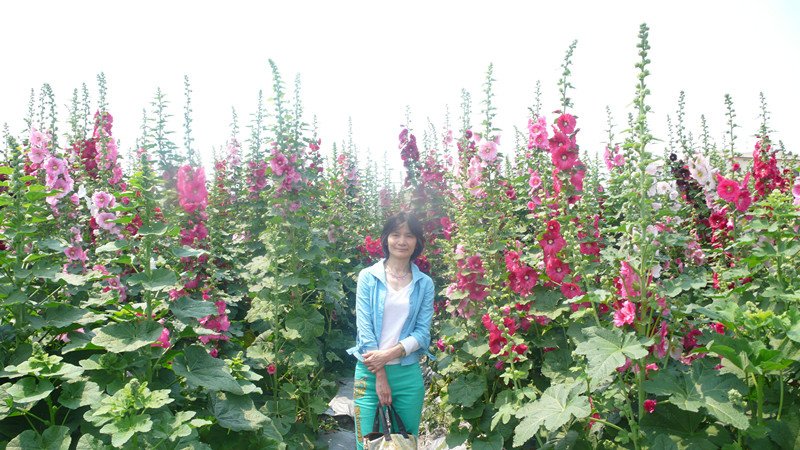 P1220026_副本.jpg