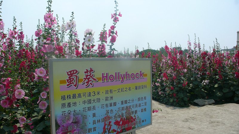 P1220034_副本.jpg