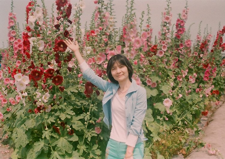 001550160003_副本蜀葵花田.jpg