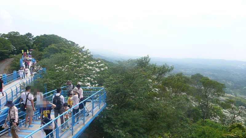 P1220253_副本.jpg