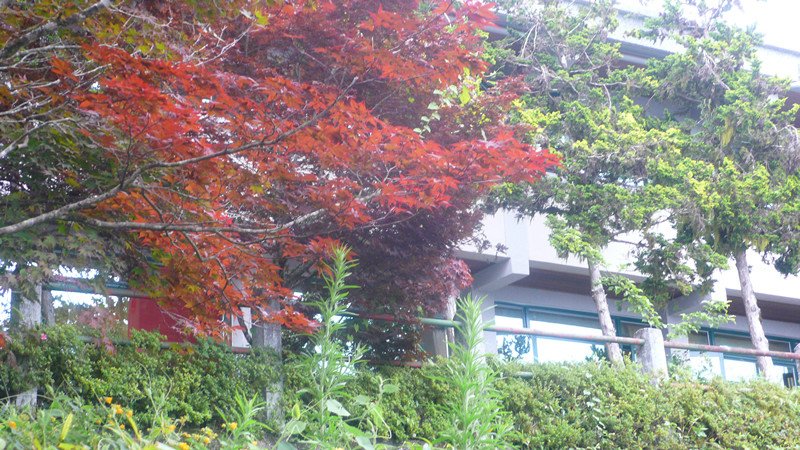 P1230174_副本.jpg