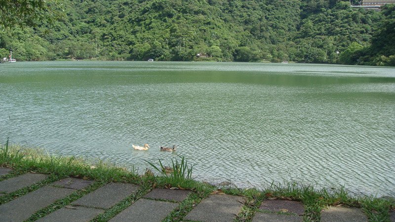 DSC00501_副本.jpg