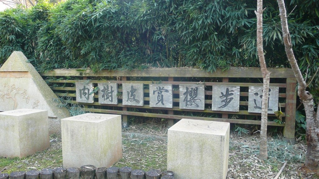 22.和雅谷內樹皮賞櫻步道.JPG