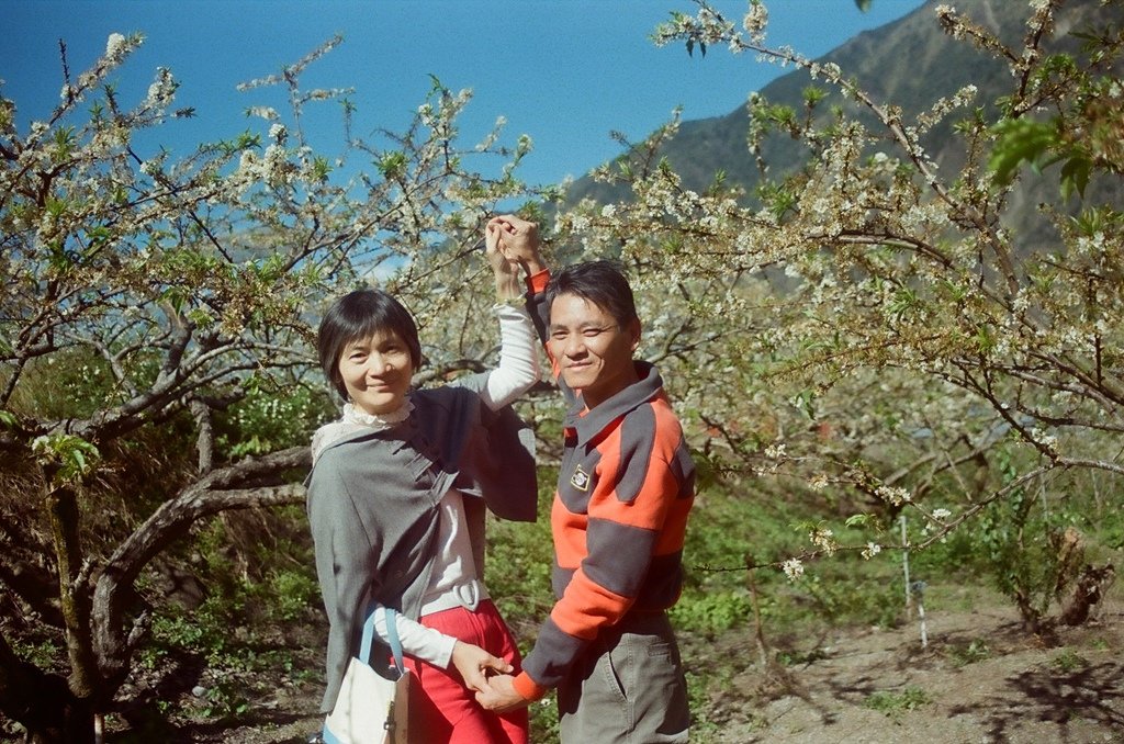 梅子6.jpg
