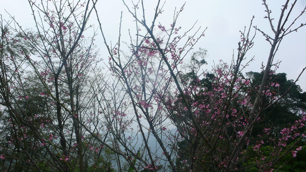 P1280732.JPG