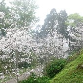 P1280846.JPG