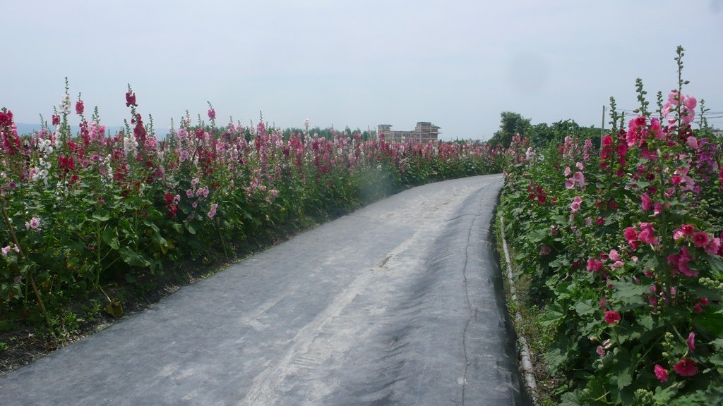 86.JPG