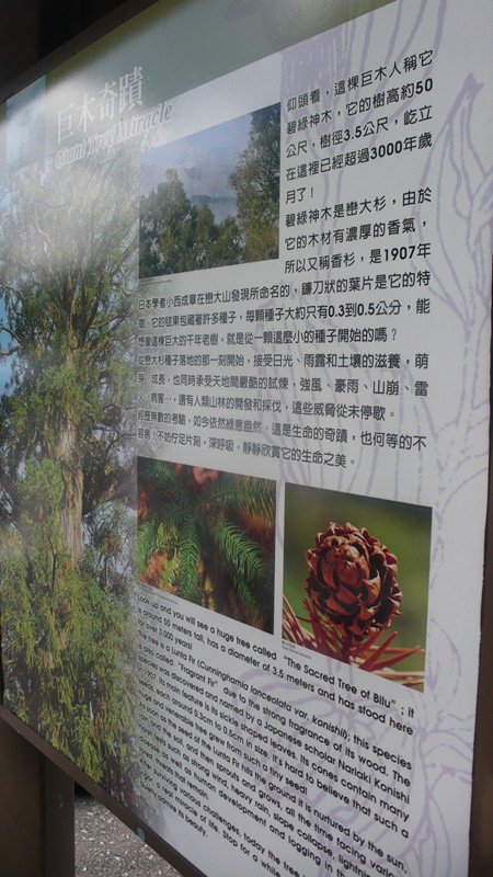 P1300330_副本.jpg