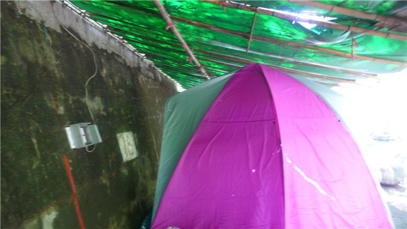 P1320004.jpg