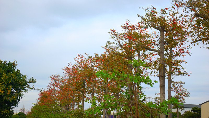 88.jpg