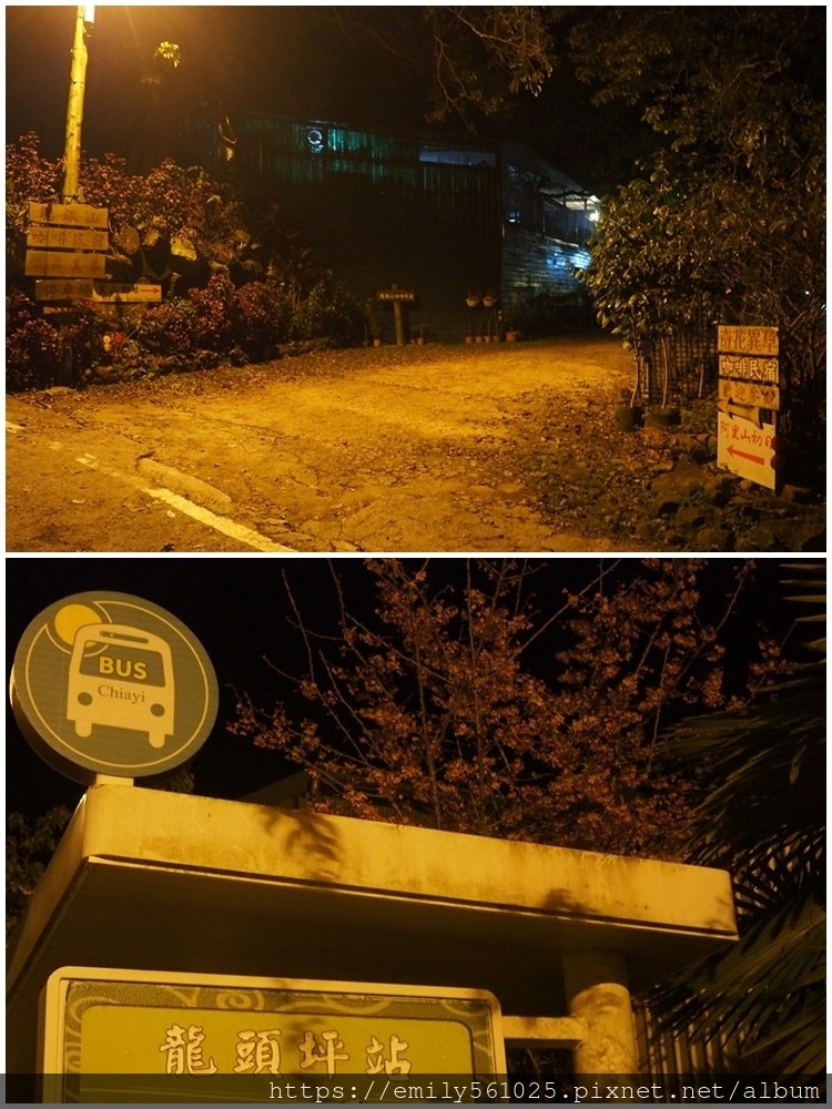 43.jpg