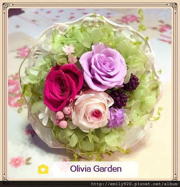 olivia garden 紫.jpg