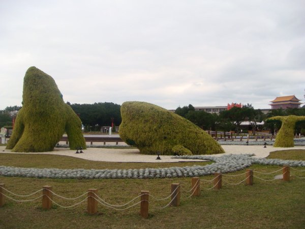 DSC08339.JPG