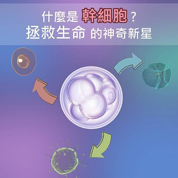 艾美零距離-什麼是幹細胞.jpg