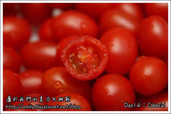 DAY14-2.jpg