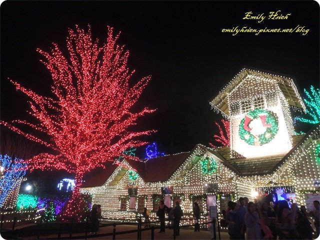DSCN0237.JPG