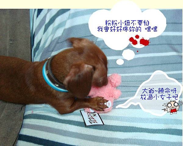 玩9.JPG