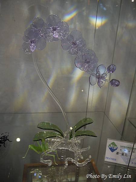 P1710229.jpg