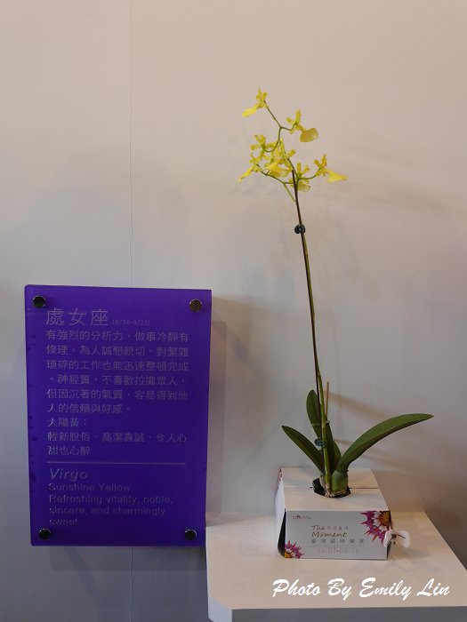 P1250948